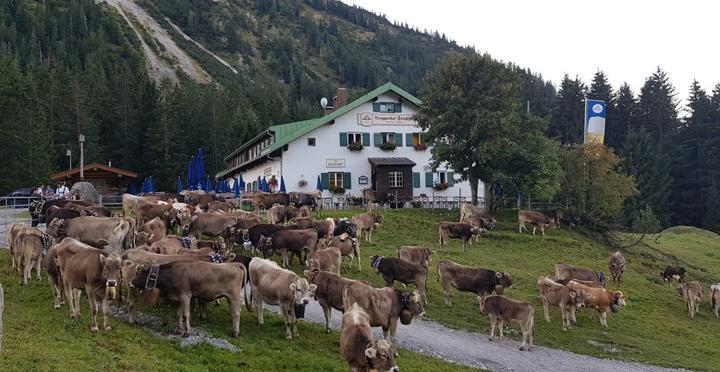 Gasthof Seealpe